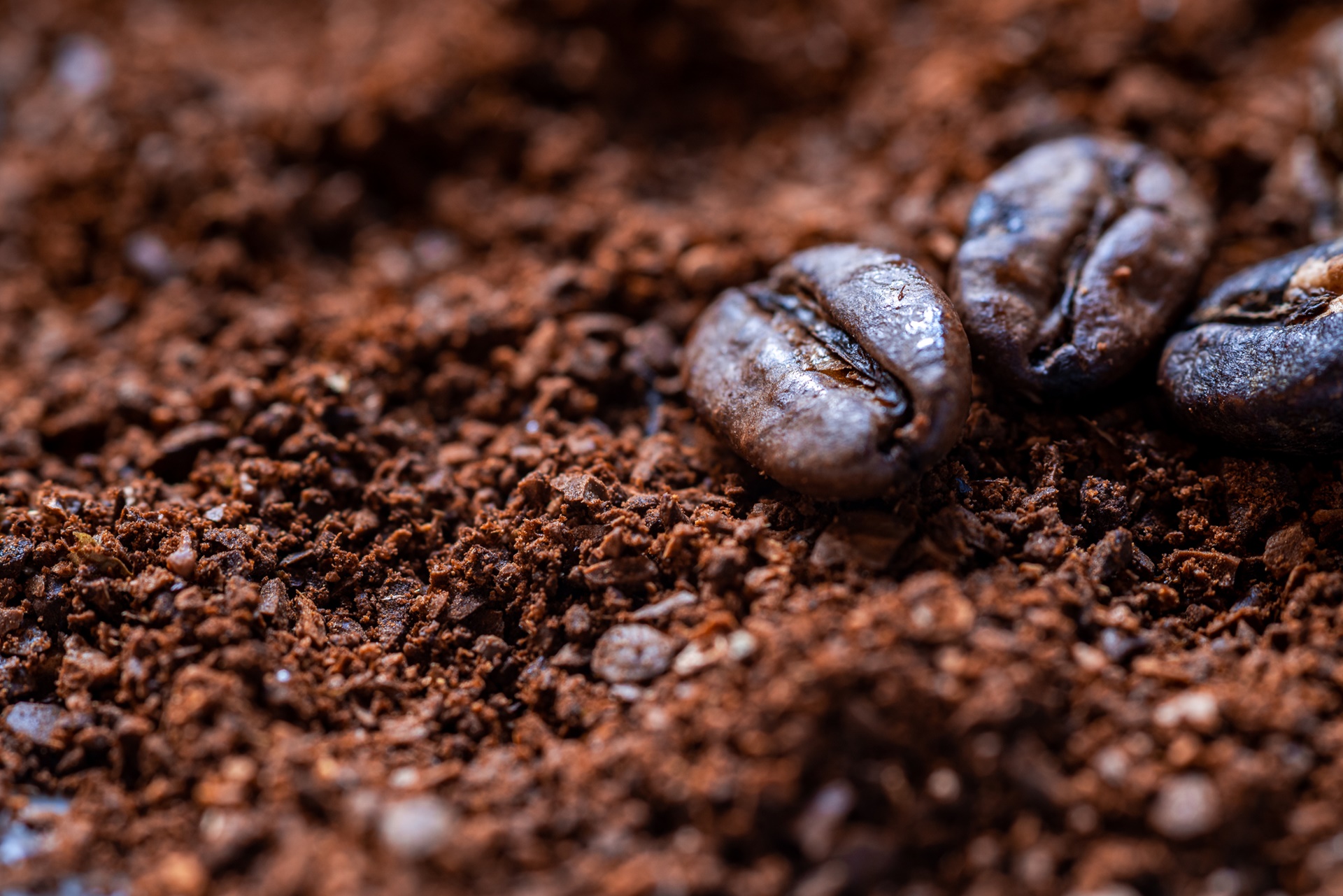 Tischlinger Kaffeeautomaten Ges.m.b.H.